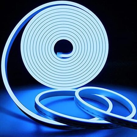 5 Meter Blue Neon LED Strip Light (120 LEDs/m) with 12V Driver