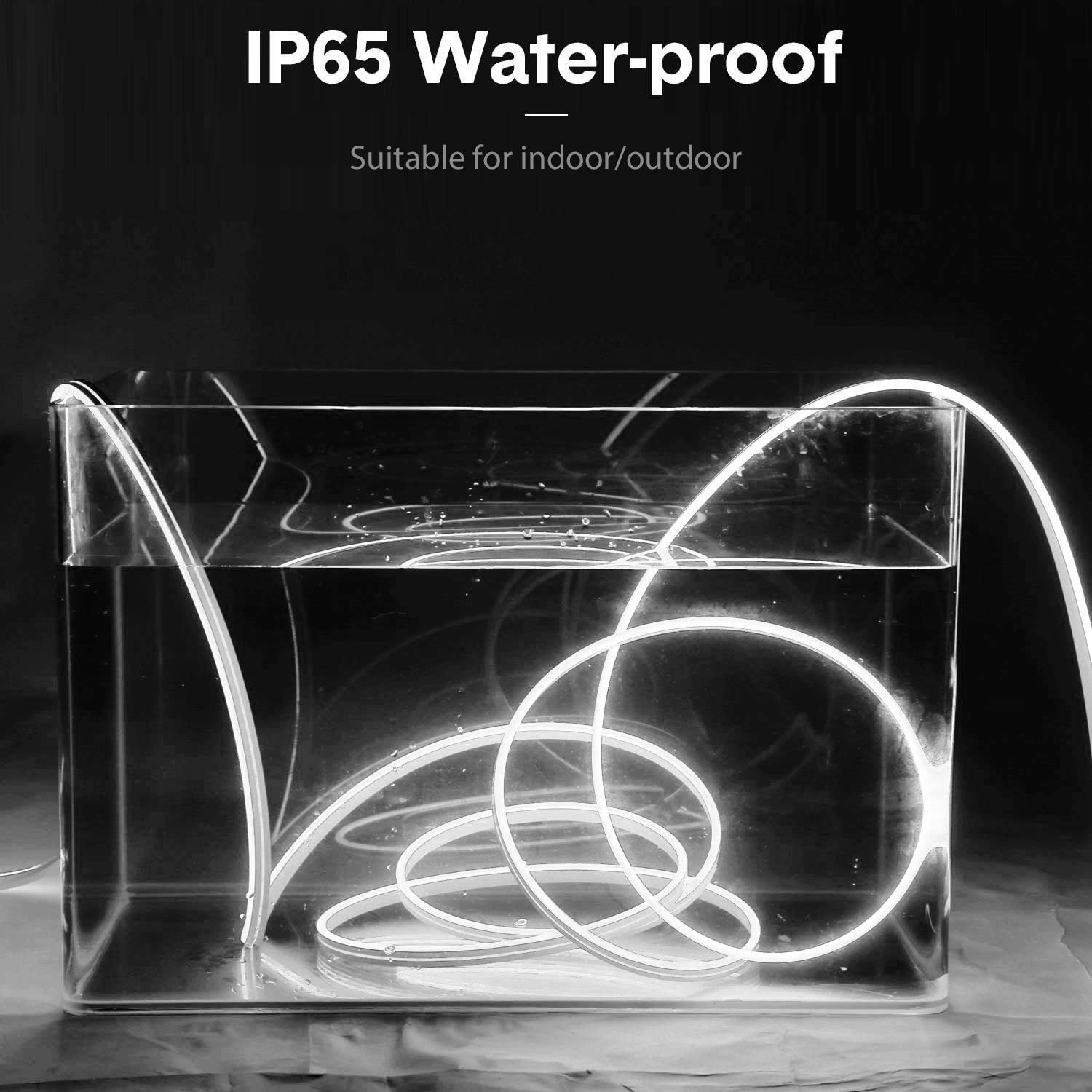 5 Meter White Neon LED Strip Light (120 LEDs/m) with 12V Driver - Image 3